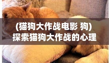 (猫狗大作战电影 狗) 探索猫狗大作战的心理学：了解宠物行为背后的科学原理